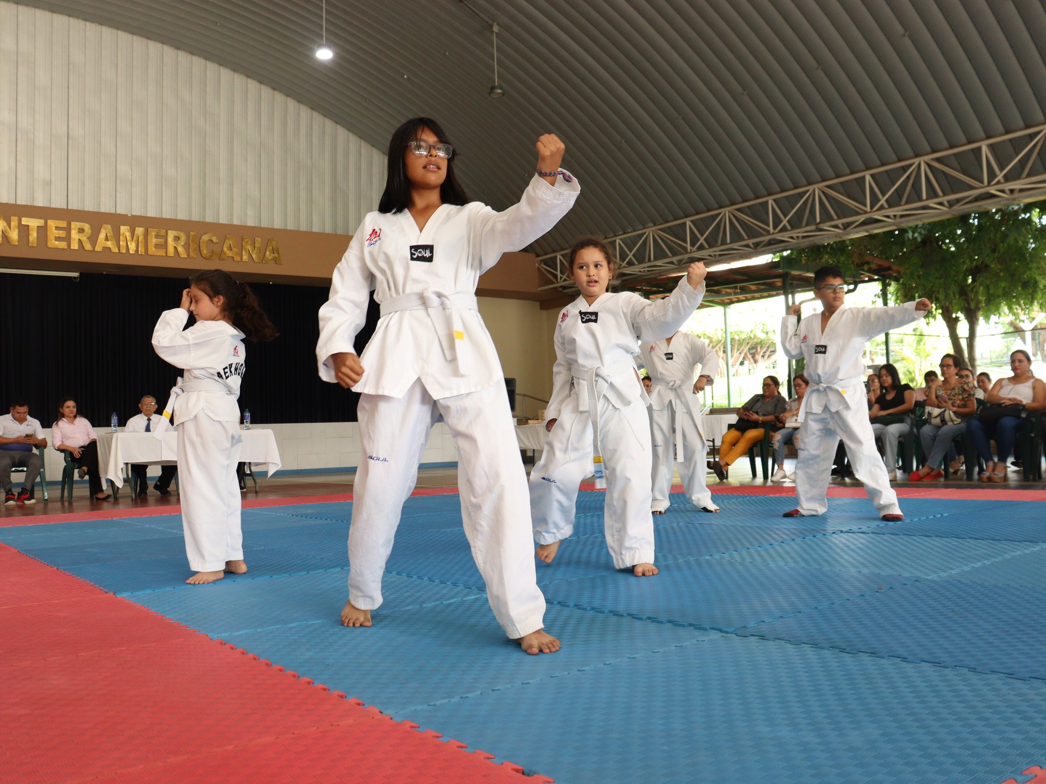 Club de Tae Kwon Do de la escuela Interamericana