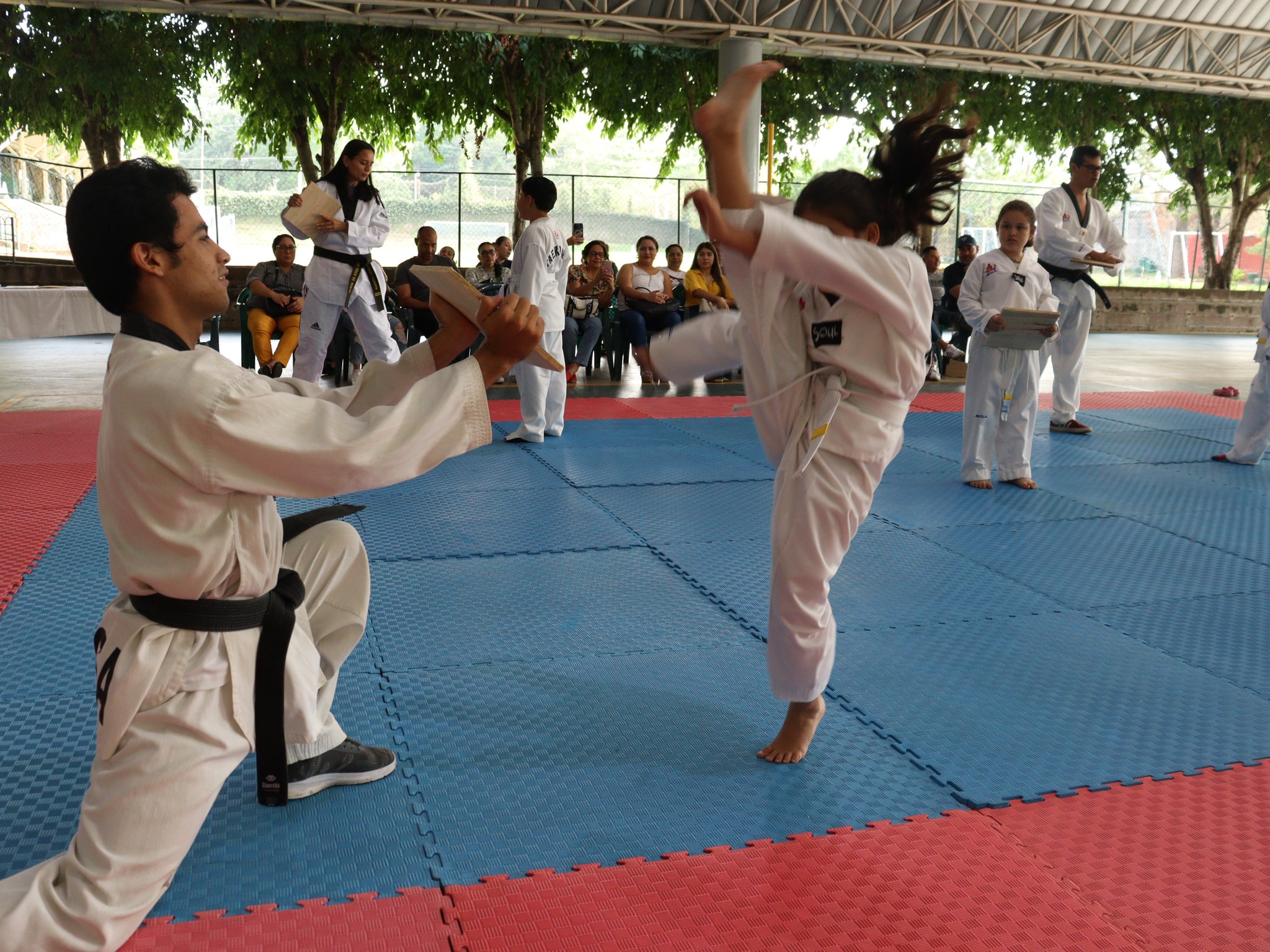 Club de Tae Kwon Do de la escuela Interamericana