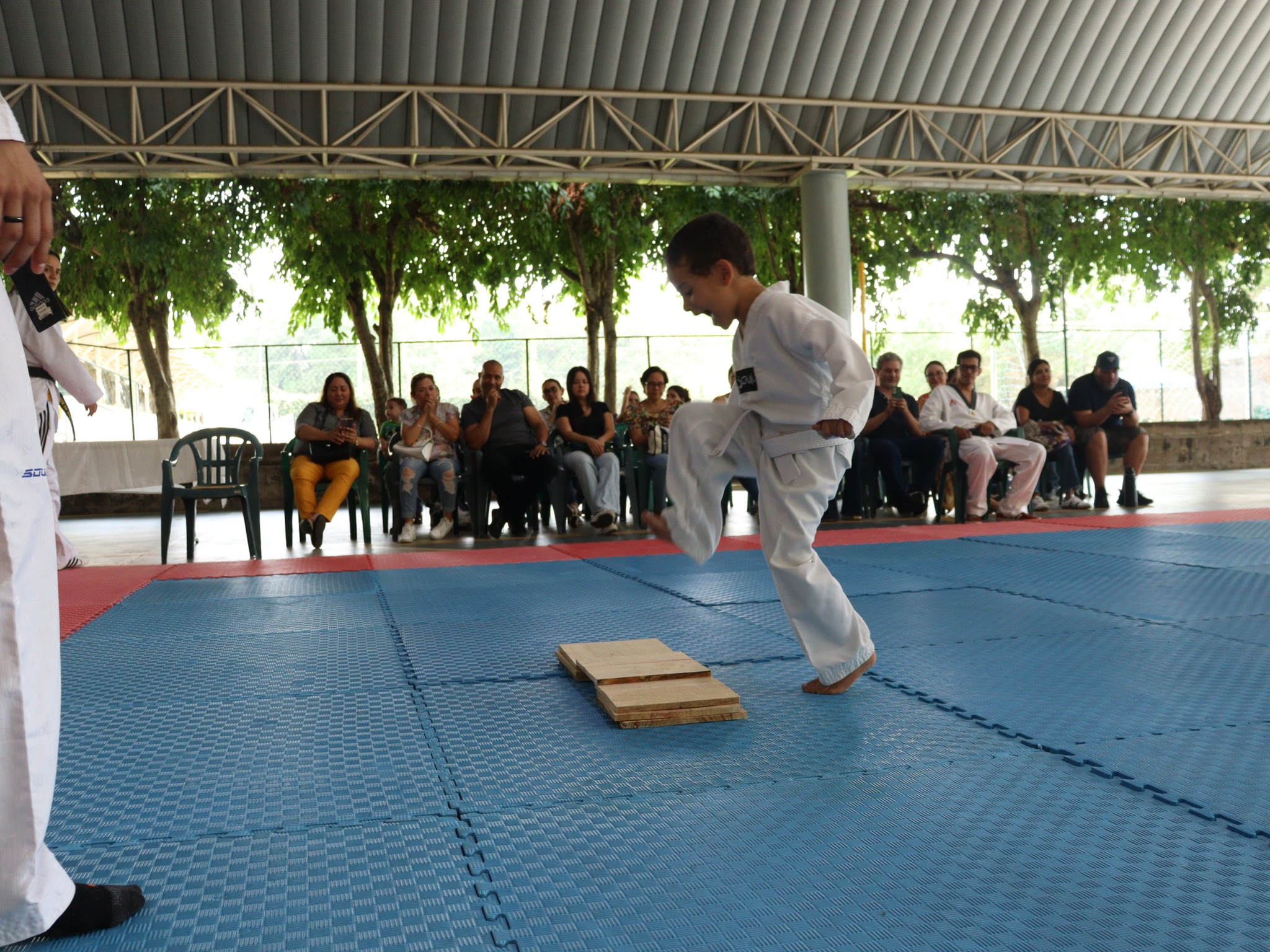 Club de Tae Kwon Do de la escuela Interamericana