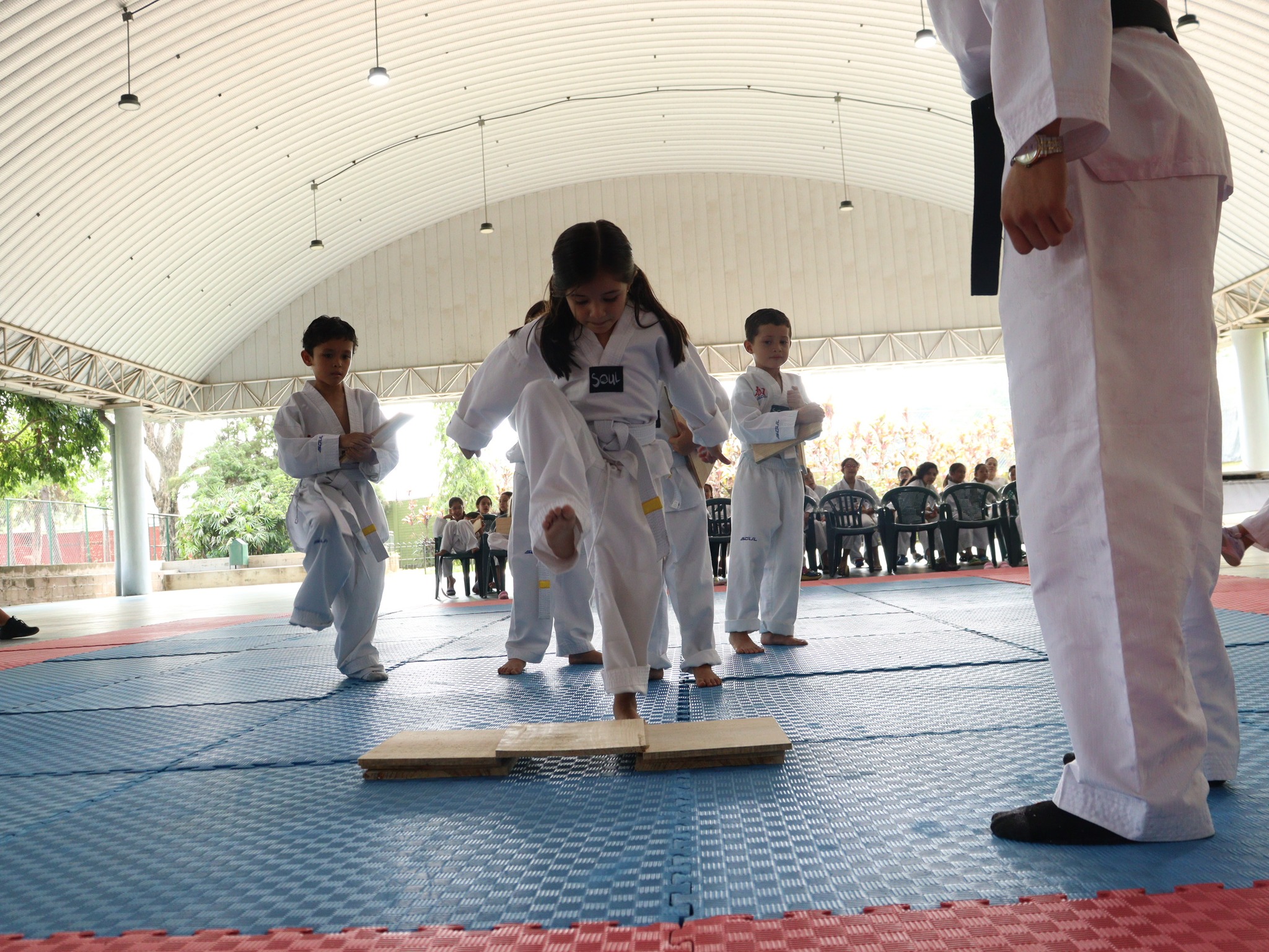 Club de Tae Kwon Do de la escuela Interamericana