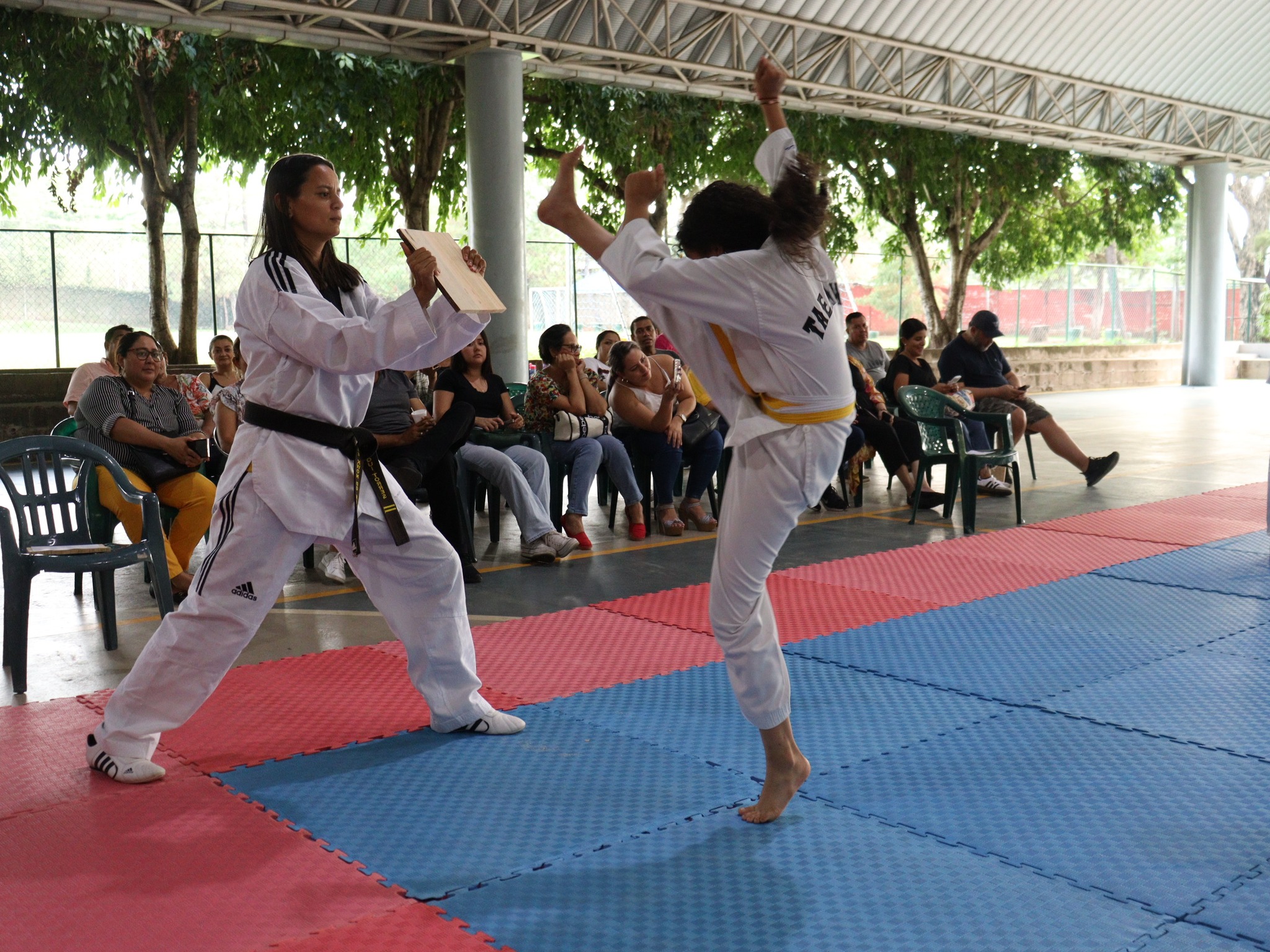 Club de Tae Kwon Do de la escuela Interamericana