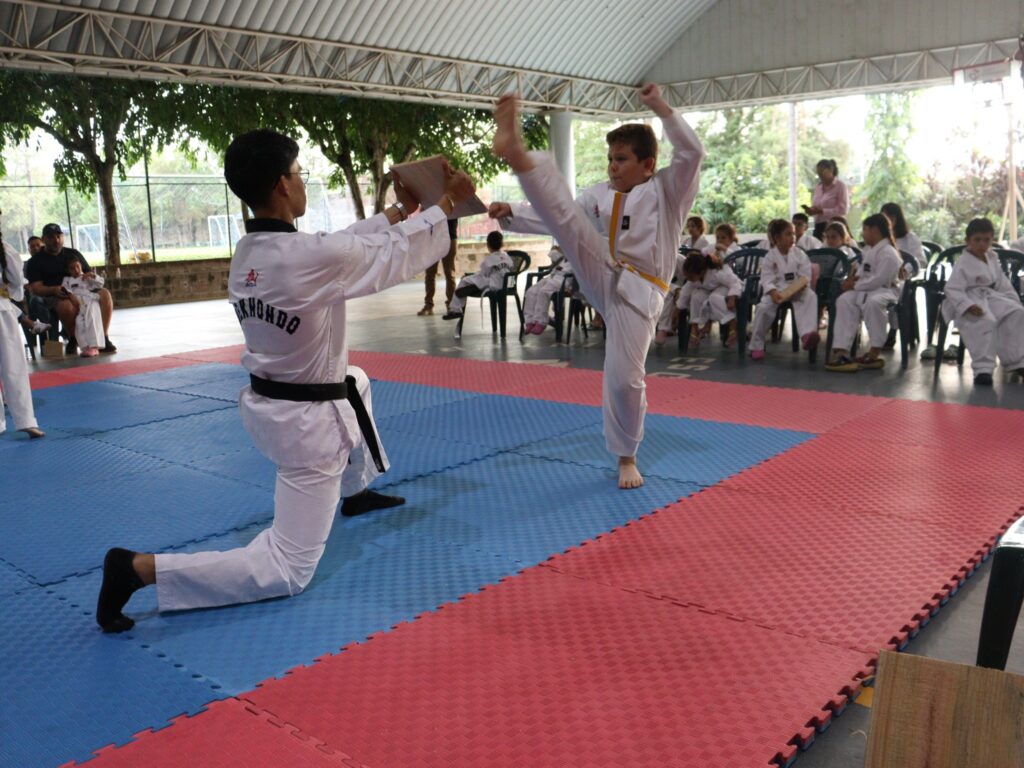 Club de Tae Kwon Do de la escuela Interamericana